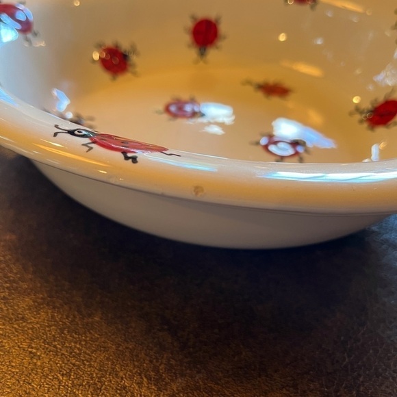 Adorable Handmade Pottery Bowl - “Lady Bug Haven” - Picture 6 of 9